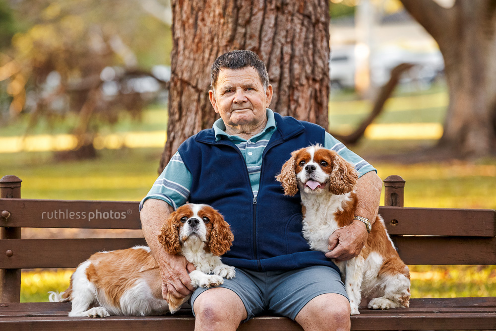 two small dogs on park bench with old man